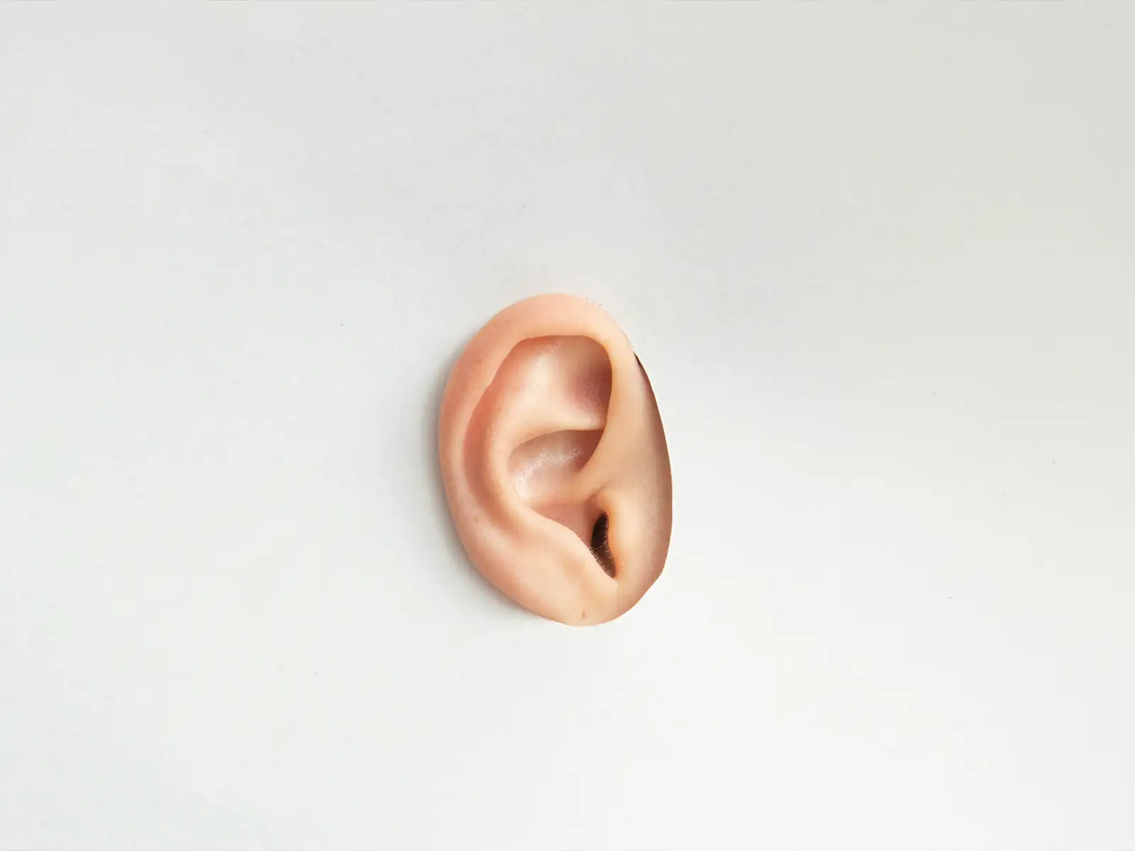 耳のイメージ
