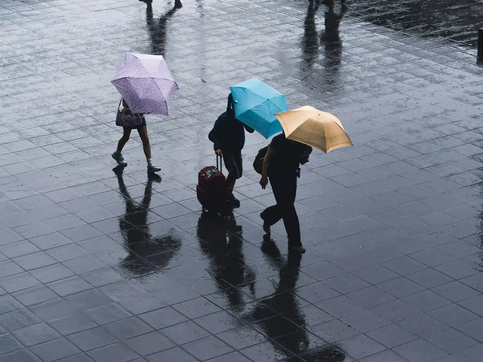 大雨の様子