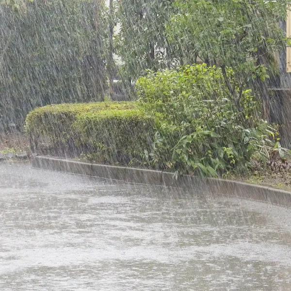 台風と地震の増加は地球温暖化のせい？