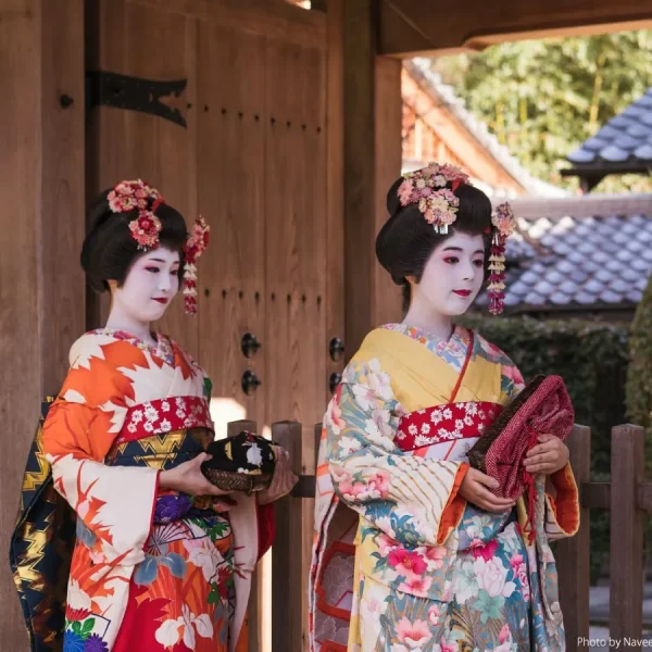 梅雨（つゆ）と黴雨（ばいう）と紅花（ベニバナ）の話