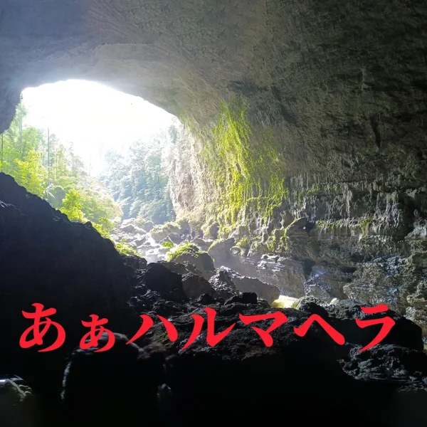 2024年9月の挑戦！インドネシア ハルマヘラ島の洞窟探検｜洞窟探検家 縣智丈の探検記 Vol.4