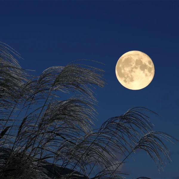 中秋の名月(十五夜)と地震の関係